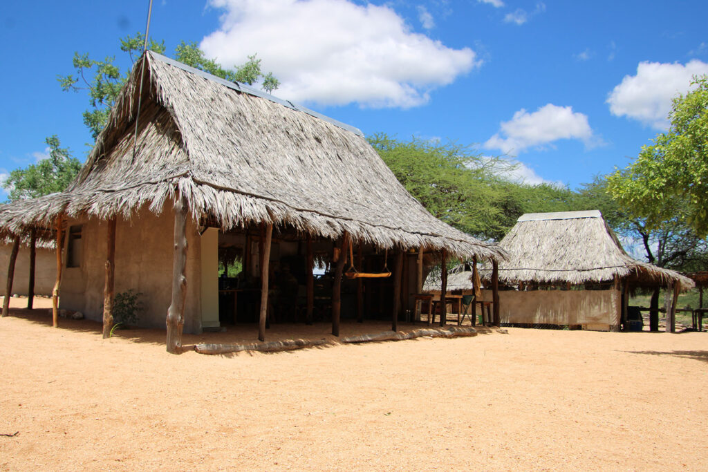 3869 mess kampy ya simba