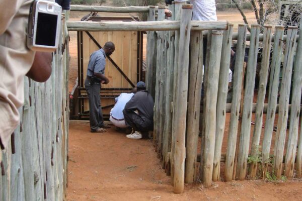 De deur van het krat werd voorzichtig ontgrendeld